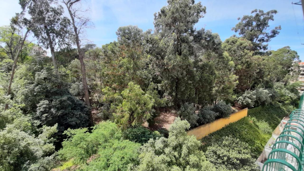 Forest View Lisbon Exterior photo